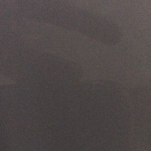 Meet your Posher, Abigail